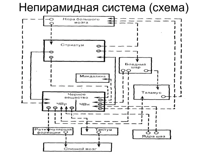 Непирамидная система (схема)