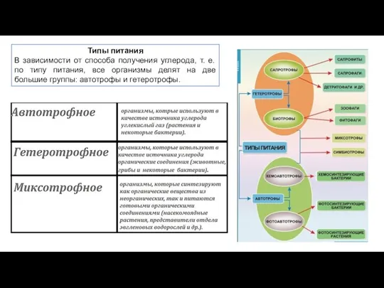 Типы питания В зависимости от способа получения углерода, т. е. по типу