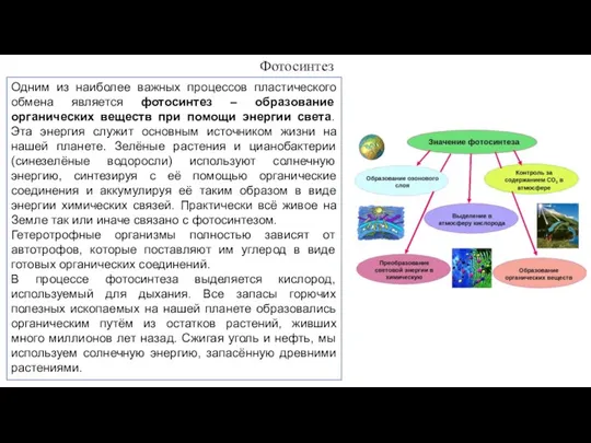 Одним из наиболее важных процессов пластического обмена является фотосинтез – образование органических