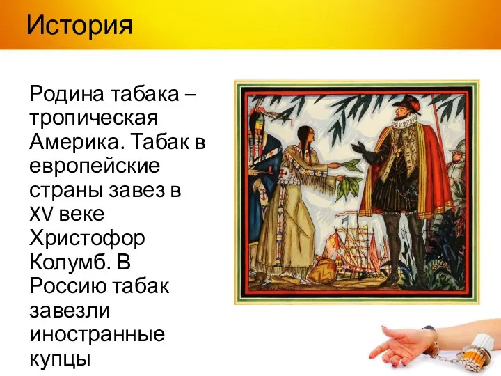 История Родина табака – тропическая Америка. Табак в европейские страны завез в