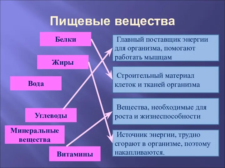 Пищевые вещества Белки Вещества, необходимые для роста и жизнеспособности Жиры Углеводы Витамины