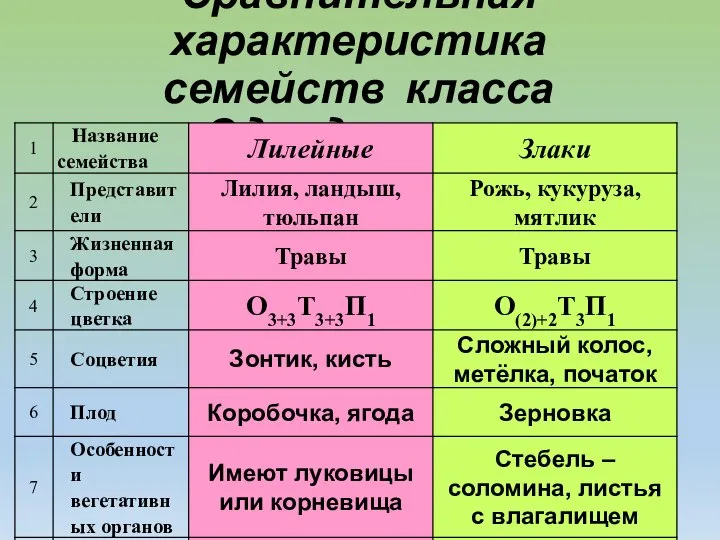 Сравнительная характеристика семейств класса Однодольные