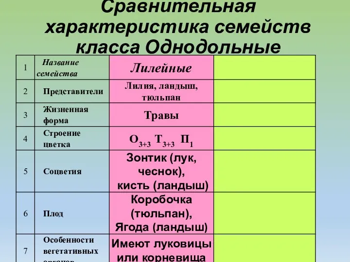 Сравнительная характеристика семейств класса Однодольные