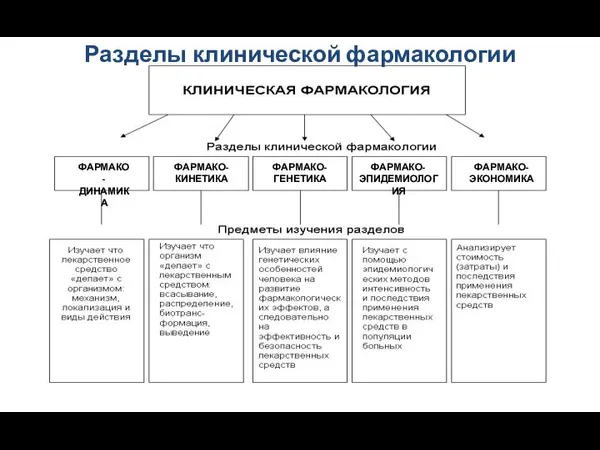 ФАРМАКО- ДИНАМИКА ФАРМАКО- КИНЕТИКА ФАРМАКО- ГЕНЕТИКА ФАРМАКО- ЭПИДЕМИОЛОГИЯ ФАРМАКО- ЭКОНОМИКА Разделы клинической фармакологии