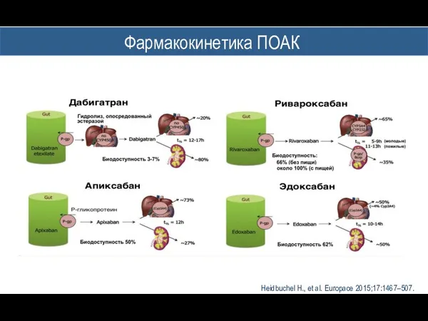 Фармакокинетика ПОАК Heidbuchel H., et al. Europace 2015;17:1467–507.