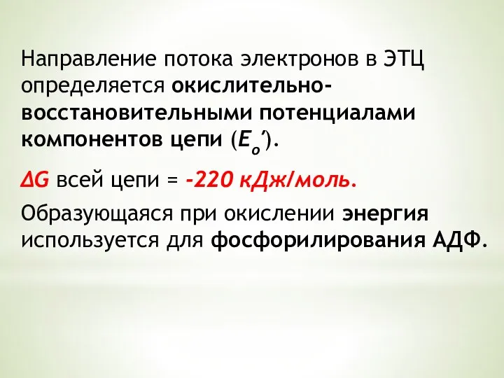 Направление потока электронов в ЭТЦ определяется окислительно-восстановительными потенциалами компонентов цепи (Ео′). ∆G