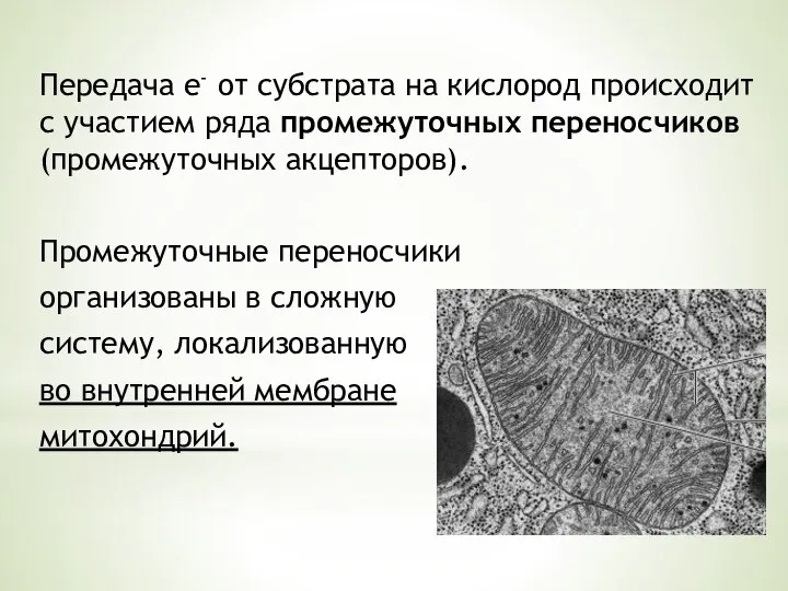 Передача е- от субстрата на кислород происходит с участием ряда промежуточных переносчиков