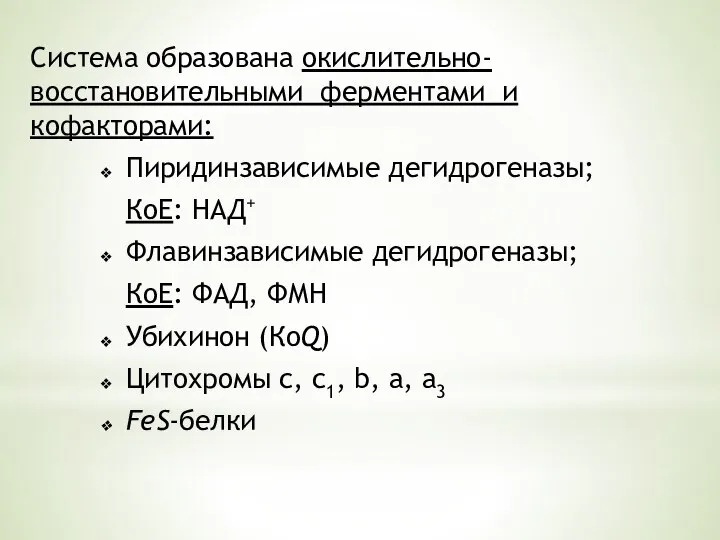 Система образована окислительно-восстановительными ферментами и кофакторами: Пиридинзависимые дегидрогеназы; КоЕ: НАД+ Флавинзависимые дегидрогеназы;