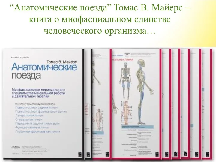 “Анатомические поезда” Томас В. Майерс – книга о миофасциальном единстве человеческого организма…