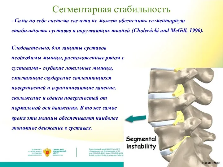Сегментарная стабильность - Сама по себе система скелета не может обеспечить сегментарную