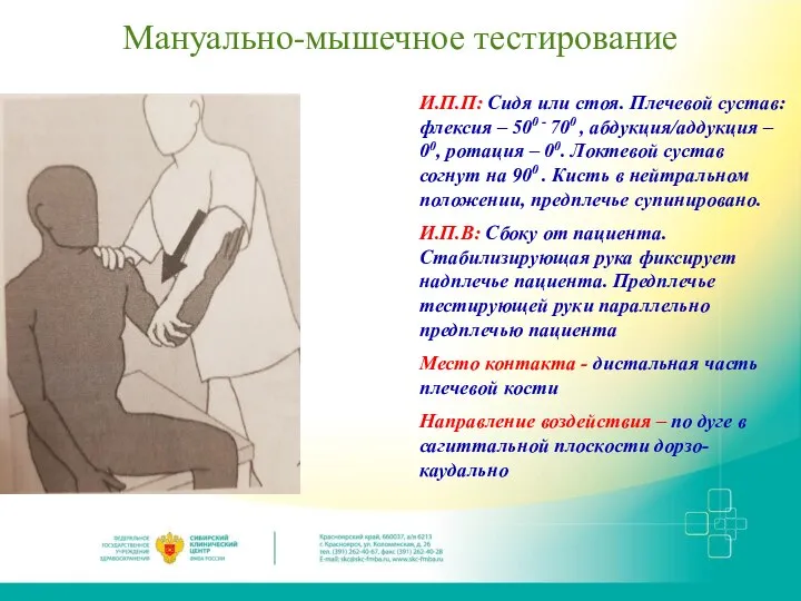 Мануально-мышечное тестирование И.П.П: Сидя или стоя. Плечевой сустав: флексия – 500 -