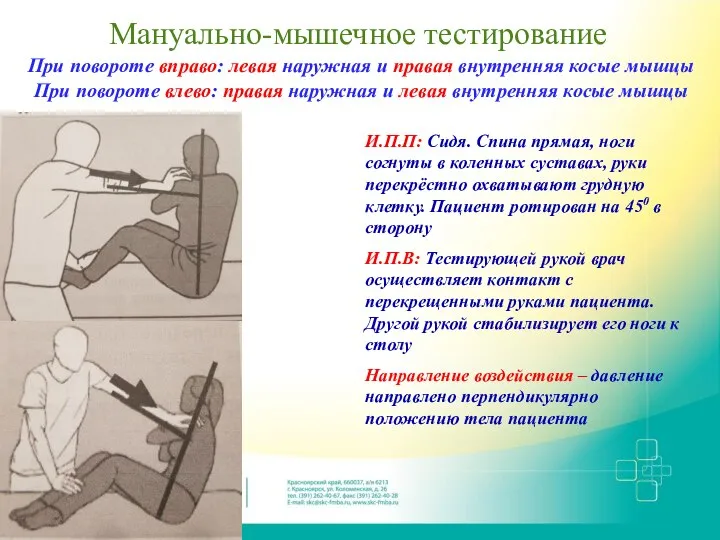 Мануально-мышечное тестирование И.П.П: Сидя. Спина прямая, ноги согнуты в коленных суставах, руки