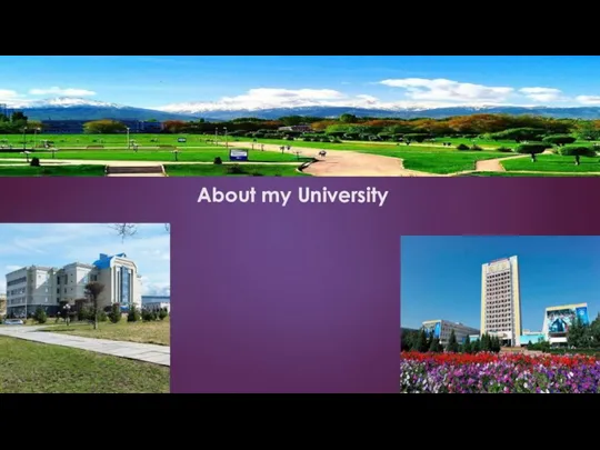 About my University