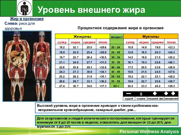 Жир в организме Слева: риск для здоровья Справа: норма Высокий уровень жира