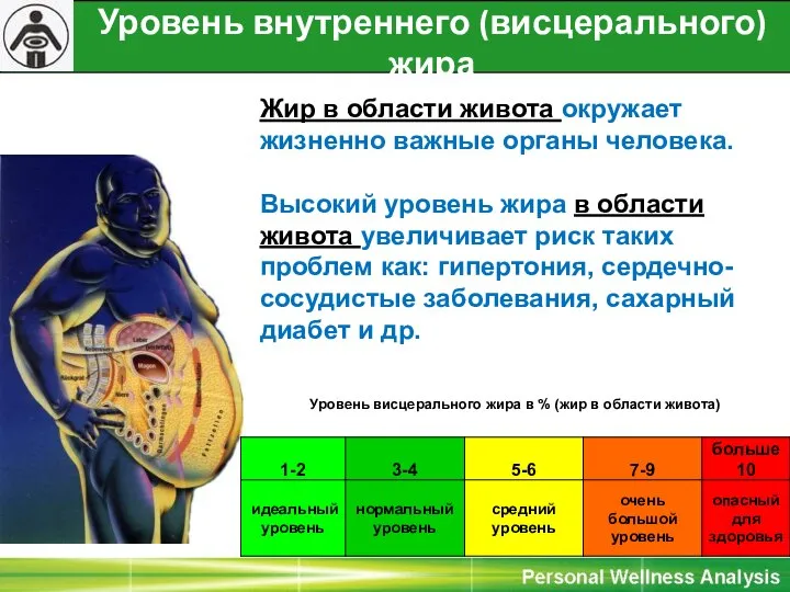 Уровень внутреннего (висцерального) жира (жир в области живота ) Жир в области