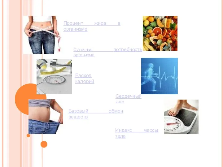 Базовый обмен веществ Индекс массы тела Процент жира в организме Суточная потребность