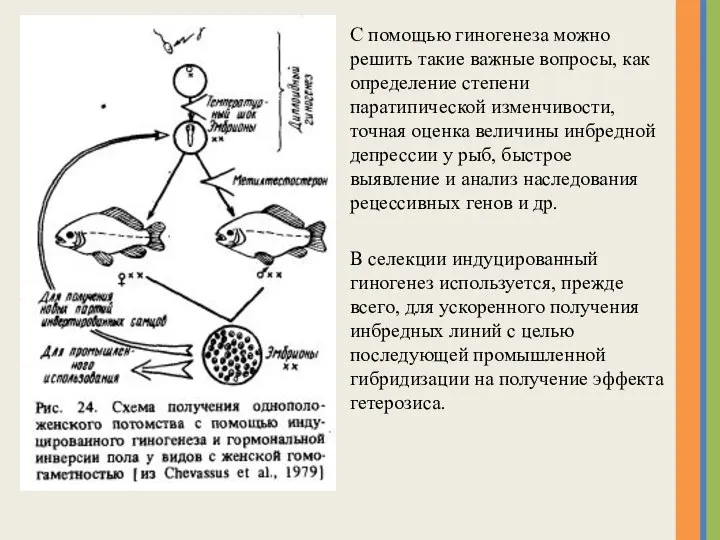 С помощью гиногенеза можно решить такие важные вопросы, как определение степени паратипической