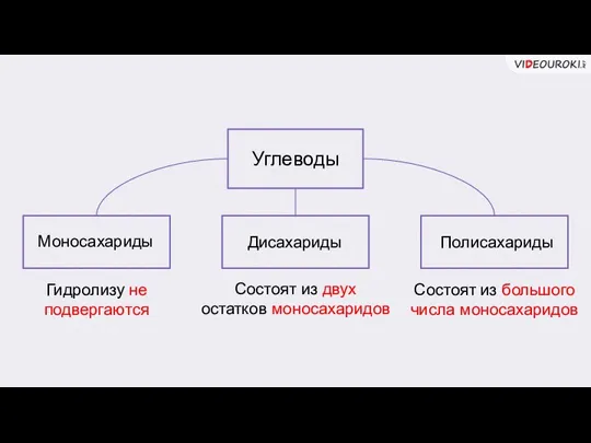 Углеводы Моносахариды Дисахариды Полисахариды Гидролизу не подвергаются Состоят из двух остатков моносахаридов