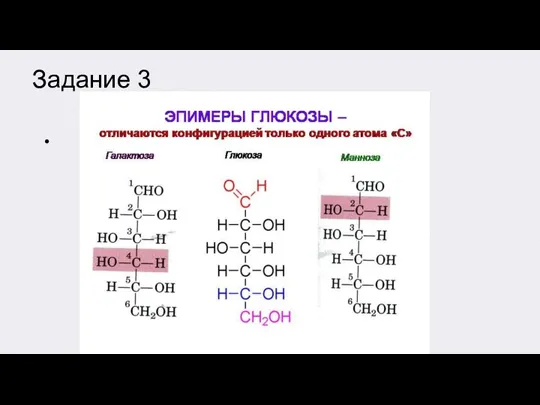 Задание 3