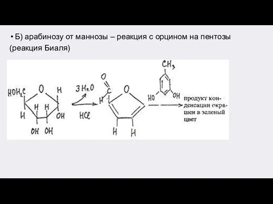 Б) арабинозу от маннозы – реакция с орцином на пентозы (реакция Биаля)