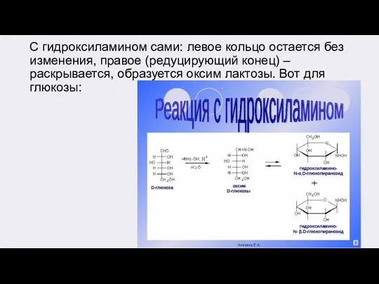 С гидроксиламином сами: левое кольцо остается без изменения, правое (редуцирующий конец) –