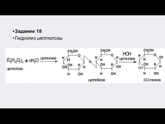 Задание 18 Гидролиз целлюлозы