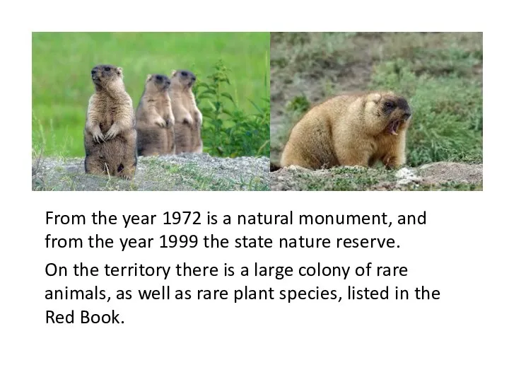 From the year 1972 is a natural monument, and from the year