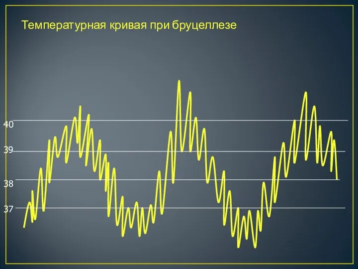 Температурная кривая при бруцеллезе 37 38 39 40