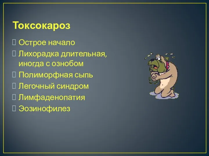 Токсокароз Острое начало Лихорадка длительная, иногда с ознобом Полиморфная сыпь Легочный синдром Лимфаденопатия Эозинофилез