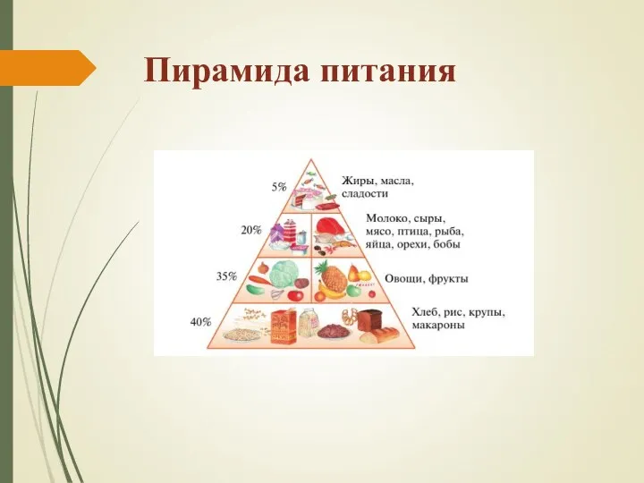 Пирамида питания