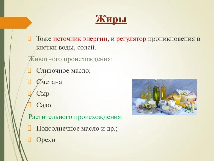 Жиры Тоже источник энергии, и регулятор проникновения в клетки воды, солей. Животного