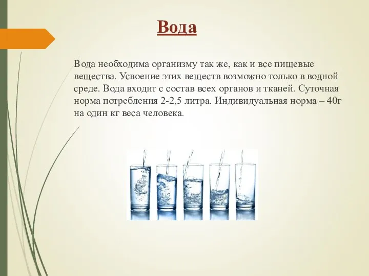 Вода Вода необходима организму так же, как и все пищевые вещества. Усвоение