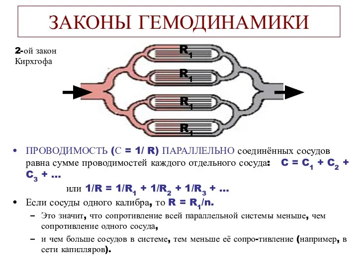 ЗАКОНЫ ГЕМОДИНАМИКИ ПРОВОДИМОСТЬ (С = 1/ R) ПАРАЛЛЕЛЬНО соединённых сосудов равна сумме