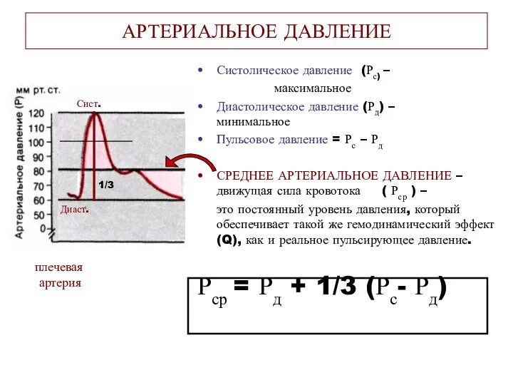 АРТЕРИАЛЬНОЕ ДАВЛЕНИЕ Систолическое давление (Рс) – максимальное Диастолическое давление (Рд) – минимальное