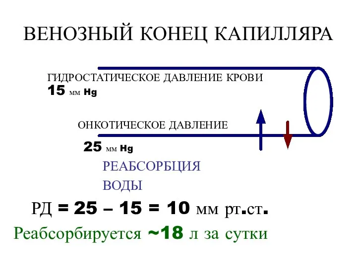 ВЕНОЗНЫЙ КОНЕЦ КАПИЛЛЯРА РЕАБСОРБЦИЯ ВОДЫ РД = 25 – 15 = 10