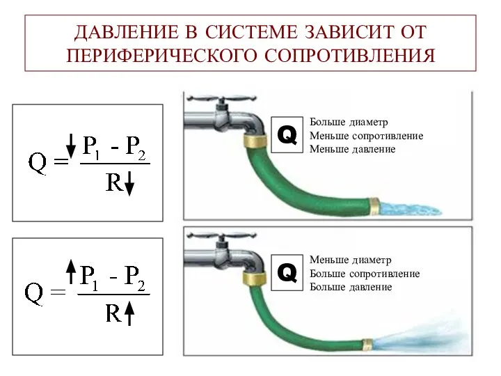 ДАВЛЕНИЕ В СИСТЕМЕ ЗАВИСИТ ОТ ПЕРИФЕРИЧЕСКОГО СОПРОТИВЛЕНИЯ Q Q Больше диаметр Меньше