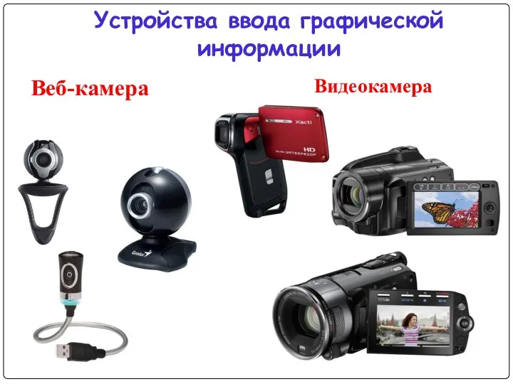 Веб-камера Устройства ввода графической информации Видеокамера