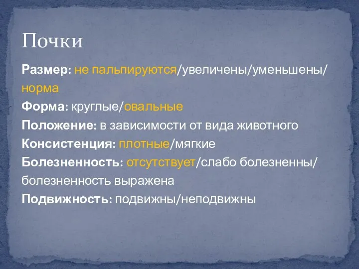 Размер: не пальпируются/увеличены/уменьшены/ норма Форма: круглые/овальные Положение: в зависимости от вида животного