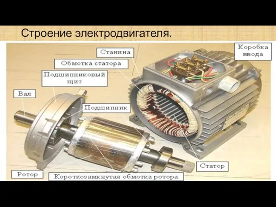 Строение электродвигателя.