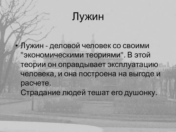 Лужин Лужин - деловой человек со своими "экономическими теориями". В этой теории