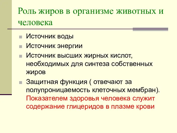 Роль жиров в организме животных и человека Источник воды Источник энергии Источник