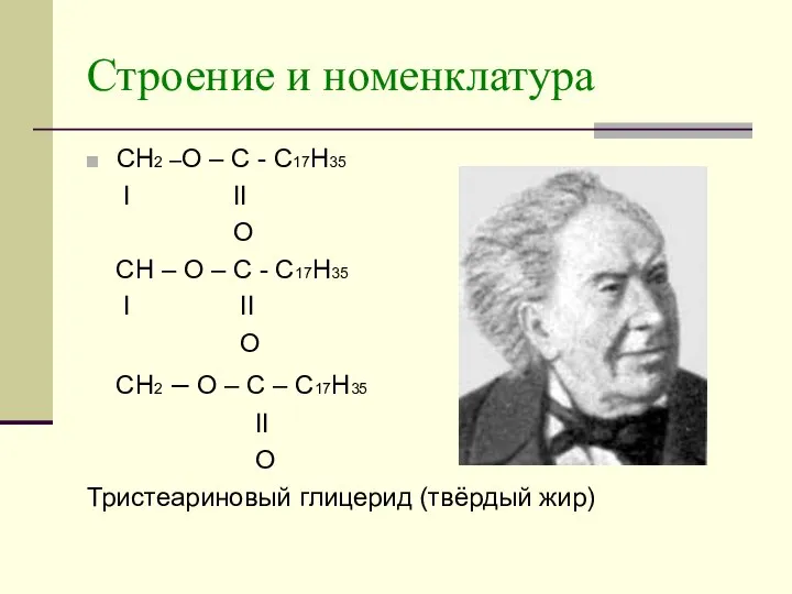 Строение и номенклатура CH2 –O – C - C17H35 I II O