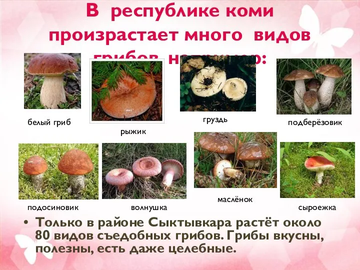 В республике коми произрастает много видов грибов, например: Только в районе Сыктывкара