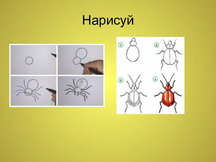 Нарисуй