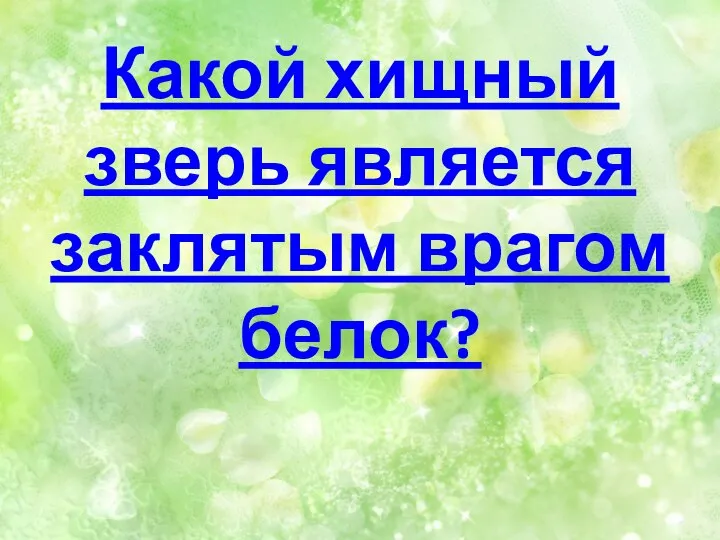 Какой хищный зверь является заклятым врагом белок?