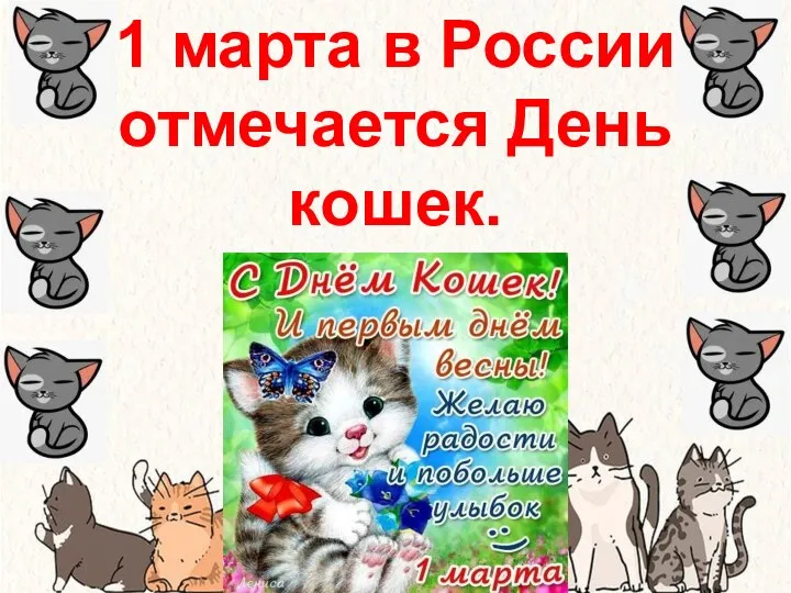 1 марта в России отмечается День кошек.