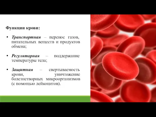 Функции крови: Транспортная – перенос газов, питательных веществ и продуктов обмена; Регуляторная