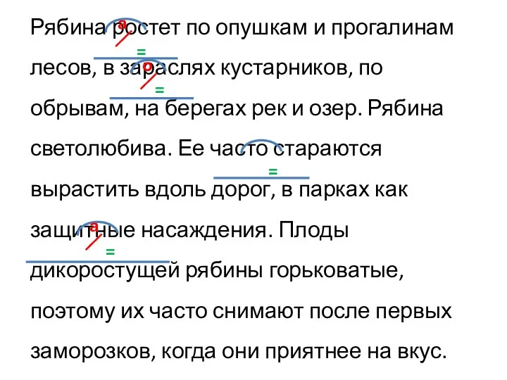 Рябина ростет по опушкам и прогалинам лесов, в зараслях кустарников, по обрывам,