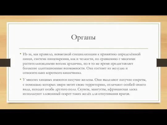 Органы Из-за, как правило, невысокой специализации к принятию определённой пищи, система пищеварения,