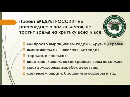 Проект «КЕДРЫ РОССИИ» не рассуждает о пользе лесов, не тратит время на